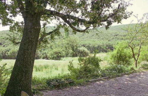 Maison de vacances, calme garanti - Foto 17
