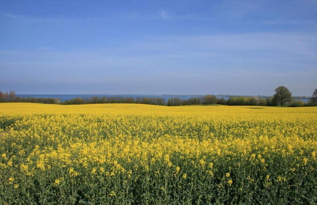 Stilvolle Wohnung mit Garten in Kluetz - Foto 21
