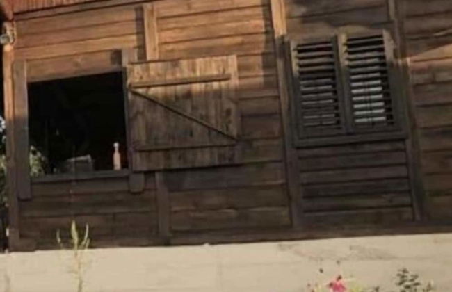 Apartment Sarganska Osmica 8 - Photo 38