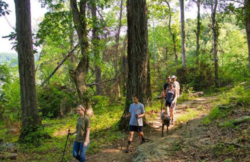 White Pines Lodge- Wooded Retreat - Foto 26