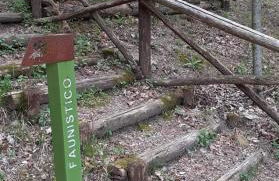 La Marzagrappola - Foto 37