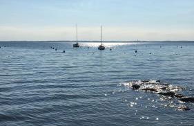 Villa Maria Apartments - Foto 69