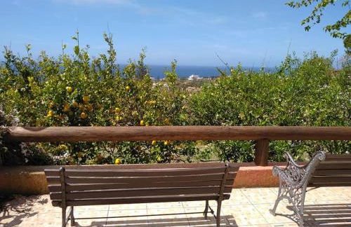 Residence Limoneto Ischia - Foto 41