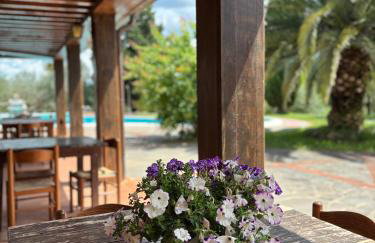 Agriturismo Manetti - Foto 66