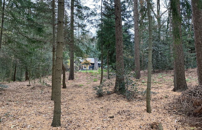 Landgoed De Heezeberg - Photo 22