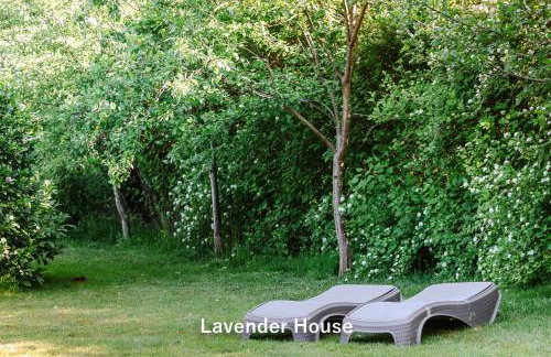 Lavender House - Foto 31