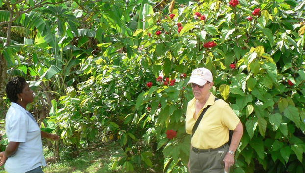 Sabores de Santa Lucía - Foto 4