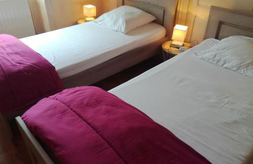 Gite au sein du Parc des Volcans d'Auvergne, tous commerces à pied - Photo 16