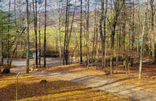 Bluebird Bliss - Foto 39