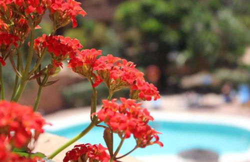 Sol y Brisa Resort Almerimar - Foto 38