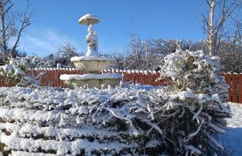 Butterflies Rest - Foto 37