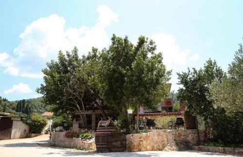 Apartments with parking space Dol, Hvar - 24122 - Foto 1