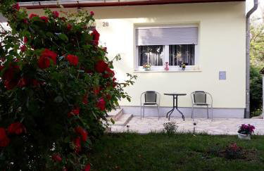 Gospic Riverside Apartment - Photo 15