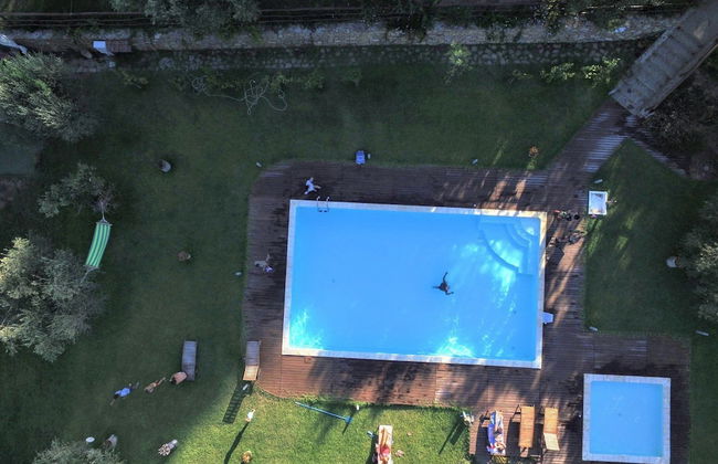 La Gabbianella e il Gatto - Foto 14