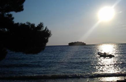 Apartmani Maslina Žuljana - Foto 66