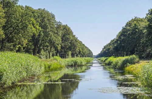 Nordwind - a69927 - Foto 34