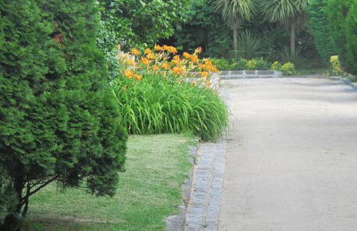 No Meio da Natureza - Turismo No Espaco Rural - Foto 23