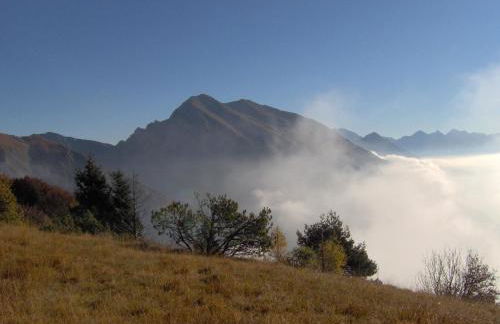 Apartment Ninetta Belluno Dolomiti - Foto 37