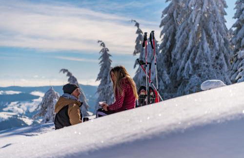 Gästehaus Seewald- Ferienwohnung 1 "Ahorn", Schluchsee, Blasiwald - Foto 24