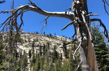 Mammoth Awesome Location-1 min to Shuttles & Food! TOML-CPAN-11402 - Foto 28