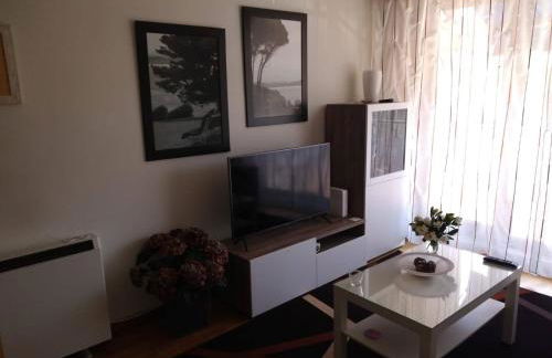 APARTAMENTO PEREGRINOS y USO TURISTICO CENTRO DE A GUARDA - Foto 33