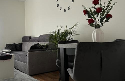 APARTAMENT CENTRUM - Foto 35