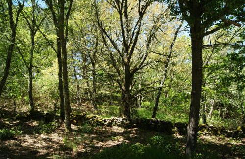 Casa O Torgal - Foto 15