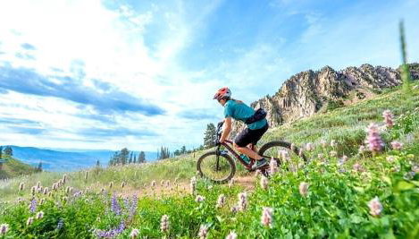 Hidden Gem! Private Guest Home - Foto 3