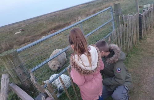 Coastal Annex at Saltfleet - Foto 45