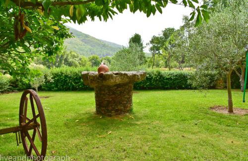 Casa Lagar Da Alagoa - Foto 26