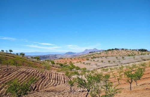 Cortijo La Estrella - Foto 16