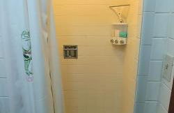 Rustic Cabin Rental on a Wildlife Sanctuary in Manistee, Michigan - Foto 9