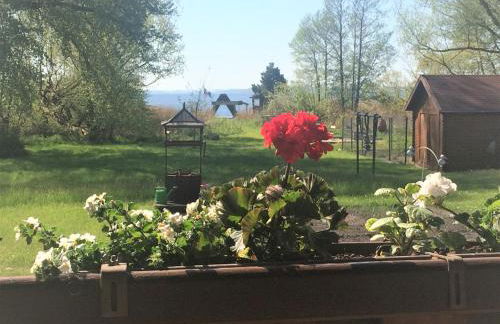 Breeger Boddenhuus - Foto 13