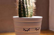 Ferienapartment Wilma - Foto 29