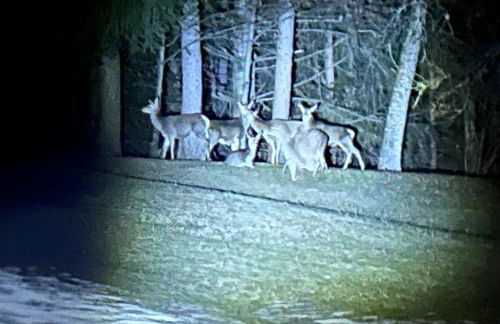 Sole e Neve -Sun & Snow - Foto 26