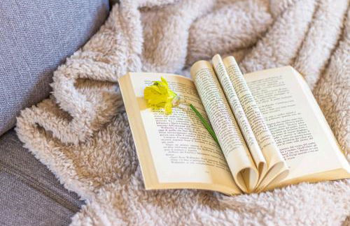 La Quiete del Mattino - Foto 19