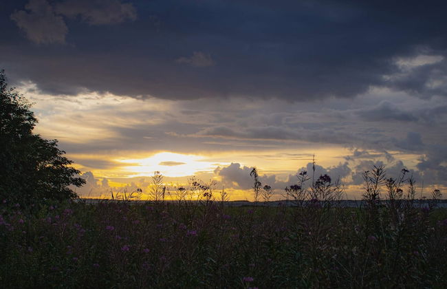 6 Person Holiday Home in Nibe-by Traum - Foto 6