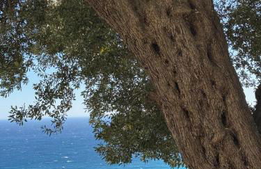 Top Location- Panoramic Villa with Montecarlo Views and Pool - Foto 7