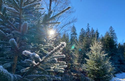 Appartement am See - Foto 28