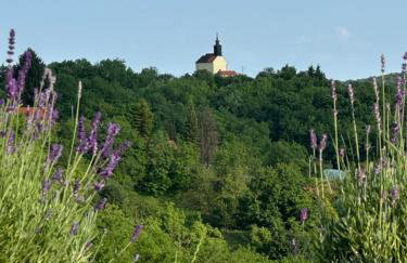 Apartman Perla - Foto 34