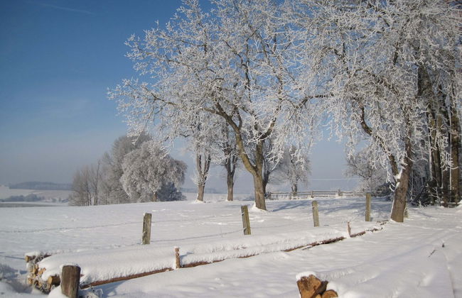 Wohnung in Rotthalmunster mit Garten - Photo 21