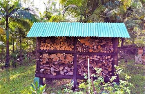 Sitio Libardo em Meio a Natureza - Nova Trento - Foto 92