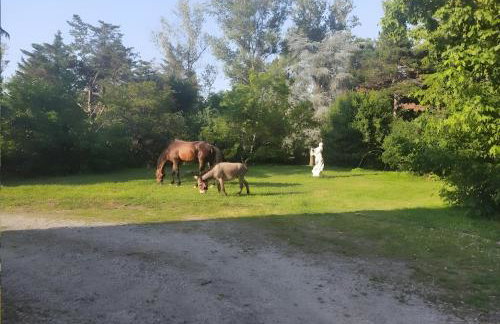 Ferme Pédagogique Bordeneuve - Foto 29