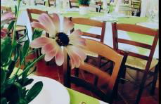 I Giardini Di Eidos - Foto 33