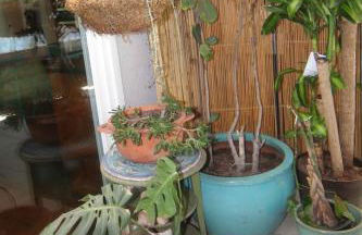 Artistic Resort Like Home with Pool - Photo 43