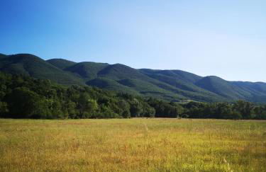 Le Petit Paradis - Foto 26