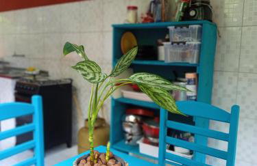 Flats Sítio Águas Lindas Praia de São Gonçalinho Paraty - Foto 1