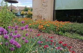 Casa D'Augusta - Agroturismo - Foto 62