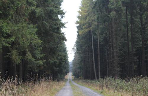 ZumSeehörnchen Haus Schmetterling - Foto 19