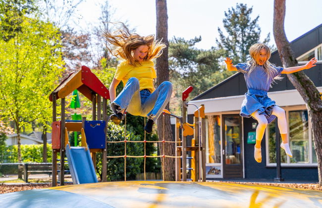 2 bedroom House in Beekbergen with swimming pool and garden - Photo 11